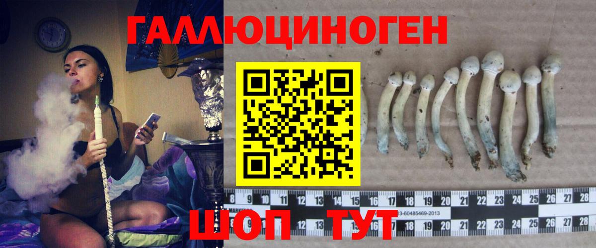 Краснознаменск  Галлюциногенные грибы Psilocybine cubensis  Псилоцибиновые грибы Psilocybe  Вход с VPN 