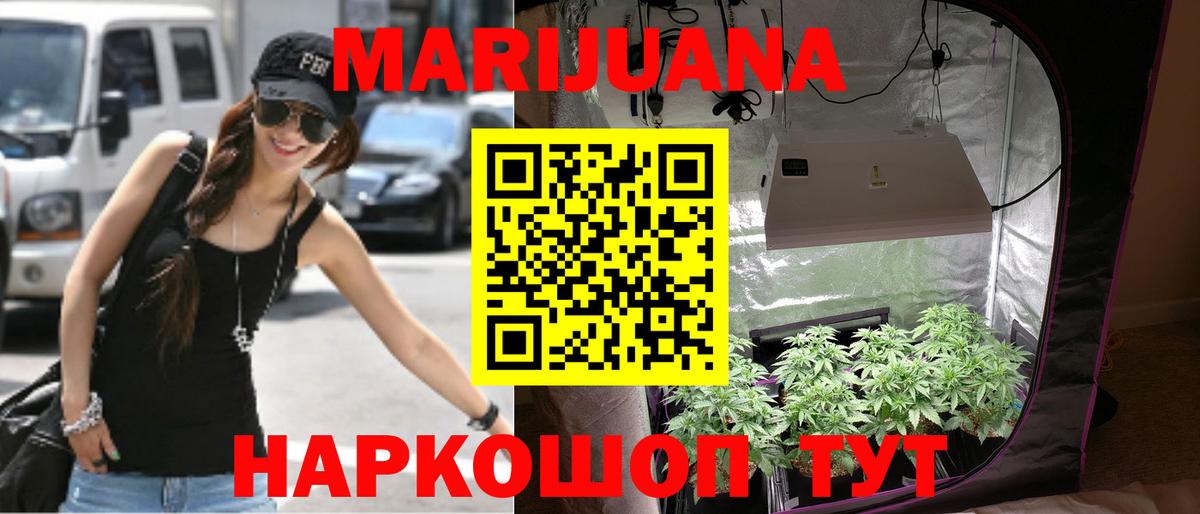 Бошки Шишки сатива Краснознаменск